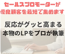 優良顧客を集めるLPを作成いたします イメージ1