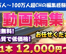 丁寧で高品質！動画編集承ります イメージ1