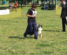 わんちゃんを飼われている方のご相談受け付けてます イメージ1