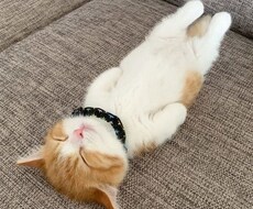 人生相談やカウンセリング、話し相手になります イメージ1