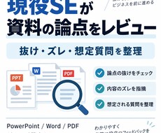 現役SEが資料の論点をレビューします イメージ1