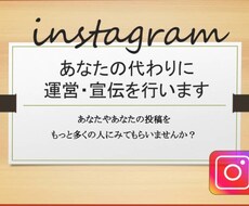 あなたの代わりにインスタグラムを運営・宣伝します アカウントに本物のファンを作ります(いいねやフォロワー増加)