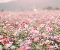 あなたのただ聞いて欲しいを叶えます イメージ1
