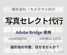 撮影会社・カメラマン向け｜写真セレクト代行します 撮影現場を知るスタッフが丁寧に対応