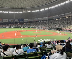 プロ野球の話を聞きます、話します イメージ1