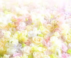 霊感霊視⭐︎恋愛に特化して占います