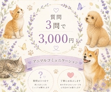 動物さんからの愛と想いをお届けします イメージ1