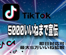 TikTok | SNSアカウント運用 | ココナラ