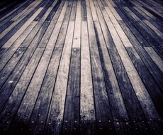 様々な用途で使える、理想のお写真をご提供します イメージ1