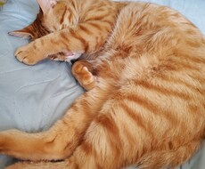愚痴めっちゃ聞きます イメージ1