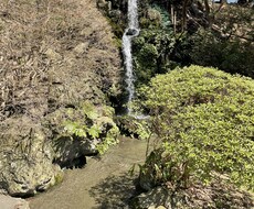 あなたの心をポジティブにします イメージ1