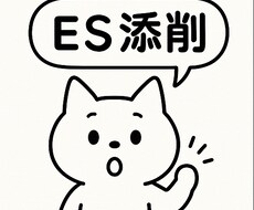 新卒就活　エントリーシート（ES）添削します イメージ1