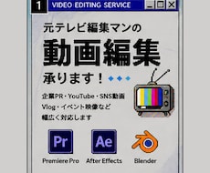 企業PR・Vlog・広告など動画の編集承ます イメージ1