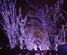 悩みを晴らせるよう頑張ります イメージ1