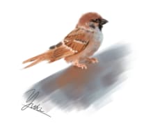 愛するペットや動物の本格イラスト描きます イメージ1
