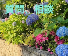 メンズエステ開業、起業で悩み、質問にお答え致します イメージ1