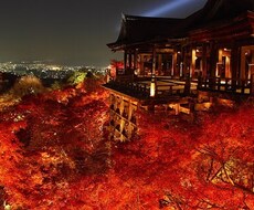誰にも話せない話or相談 イメージ1