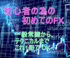 初心者の為の初めてのFX これ1冊でわかります 一般常識から基礎・基本・テクニカルまで説明します