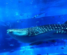 ワンコインで恋愛相談解決させます イメージ1