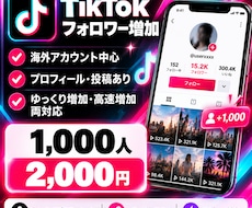 TikTokフォロワーを1000人増加します イメージ1