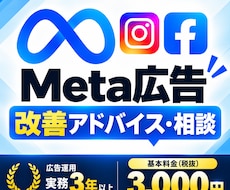 Meta広告の改善アドバイス・相談に乗ります 現役運用者が初心者の方でも丁寧にサポート