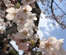 話し相手になります イメージ1