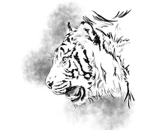 トラのイラスト販売します トラのイラスト(完成品)アイコンや寅年の使用にどうぞ