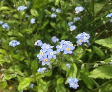 恋愛・性生活のお悩み聞きます。 イメージ1