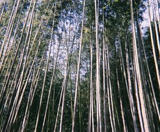 楽しい時間の提供をします イメージ1