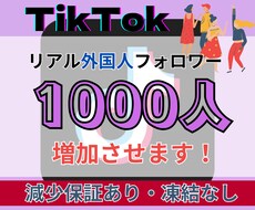 TikTokリアル外国人フォロワー増やします イメージ1