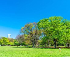 AIを活用して人物写真の背景・服装を編集します イメージ1