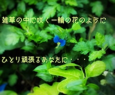死にたくなるほど辛い時、あなたにそっと寄り添います イメージ1