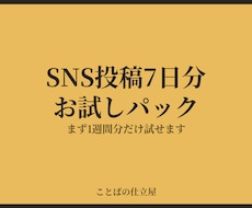 Instagram・X投稿文7日分作ります イメージ1