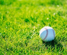 野球で勝つ方法を教えます 野球の監督、野球で勝ちたい方、野球を勉強したい方
