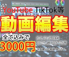YouTube、TikTok等の動画編集を行います イメージ1