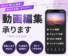 視聴維持率UP！伝わる・伸びる動画編集をします テロップ・BGM・演出込みで“見られる動画”を制作！