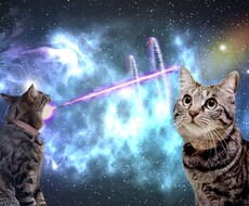 オリジナルの宇宙猫(犬・鳥etc)を作ります イメージ1