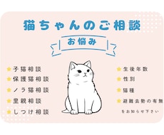 野良猫の保護や子猫の育て方などのご相談受けます イメージ1