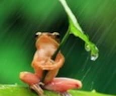お気軽に！ただの雑談をカウンセラーがします