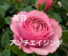 若返りアンチエイジング　美容遠隔施術でお届けします イメージ1