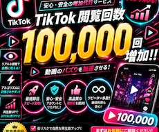 TikTok再生100000増やします イメージ1