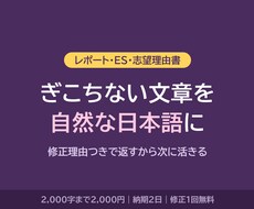 レポート・ESの文章、自然な日本語に整えます イメージ1