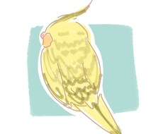 インコちゃんのイラスト描きます イメージ1