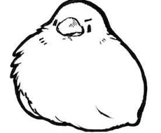鳥ちゃん専門でイラストお描きします 愛くるしいモフモフなコミカル鳥イラスト！
