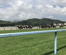 競馬は楽しい！そう思えるような予想を提供します