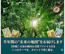 1テーマについて半年間の動向や注意点を占います イメージ1