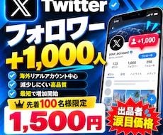 Xの海外フォロワーを1000人増やします イメージ1