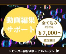 全部まとめて動画編集します 現役企業専属編集者です( ˊᵕˋ*)