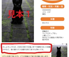 ペットの迷子チラシ作ります イメージ1