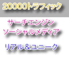 トラフィック20000を15日間に分けて送ります ソーシャルメディア、サーチエンジンからのトラフィック！
